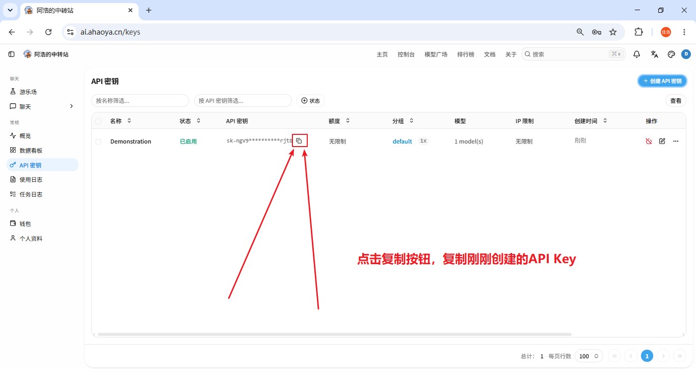 复制 API Key