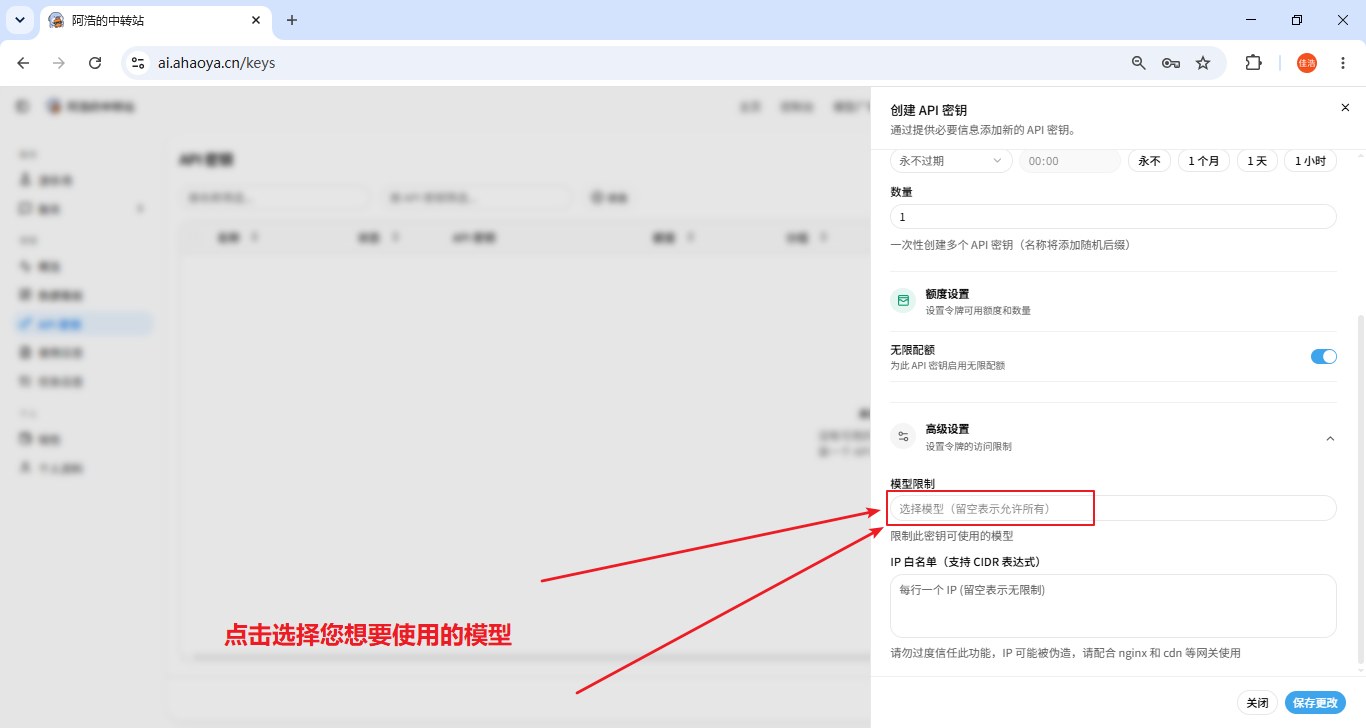 模型限制设置