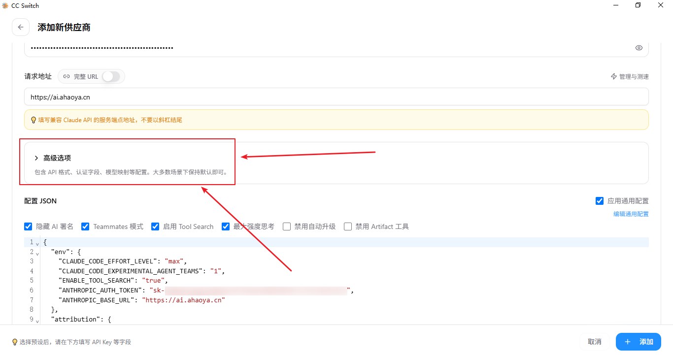 高级选项中的配置 JSON